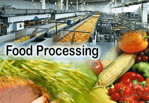 presentation on food processing