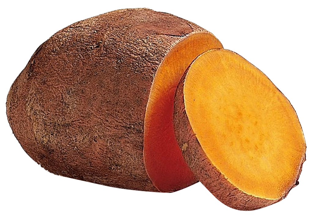 Orange fleshed sweet potatoes have carotenoids (pro-vitamin A) which are bioactive substances